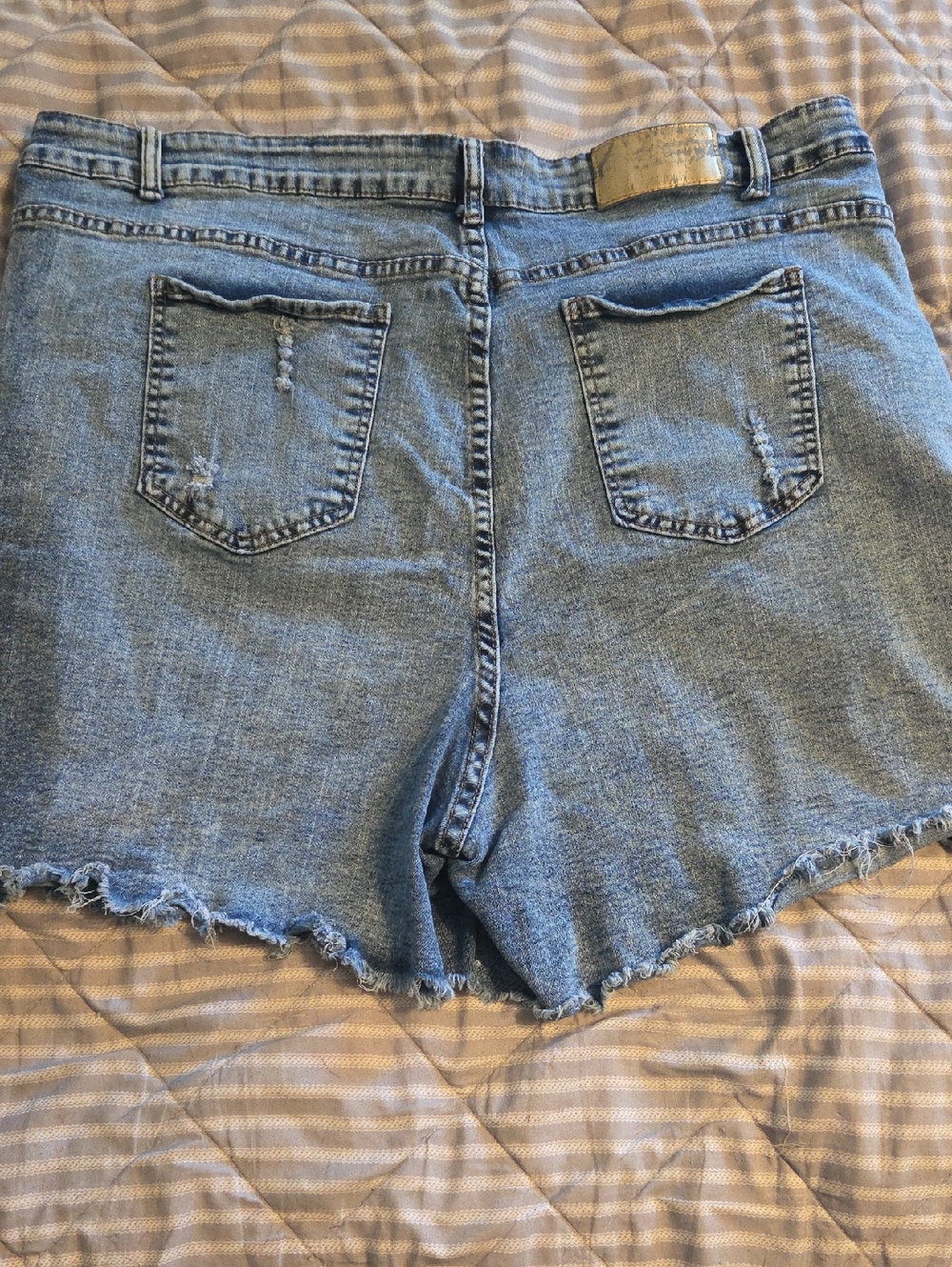 Light Wash Denim Shorts - Raw Hem Sz 22